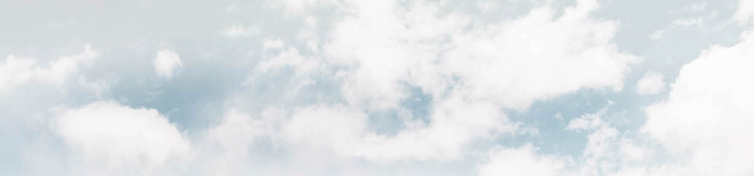 ˽