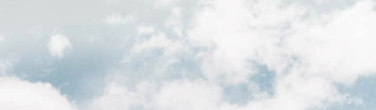 ˽
